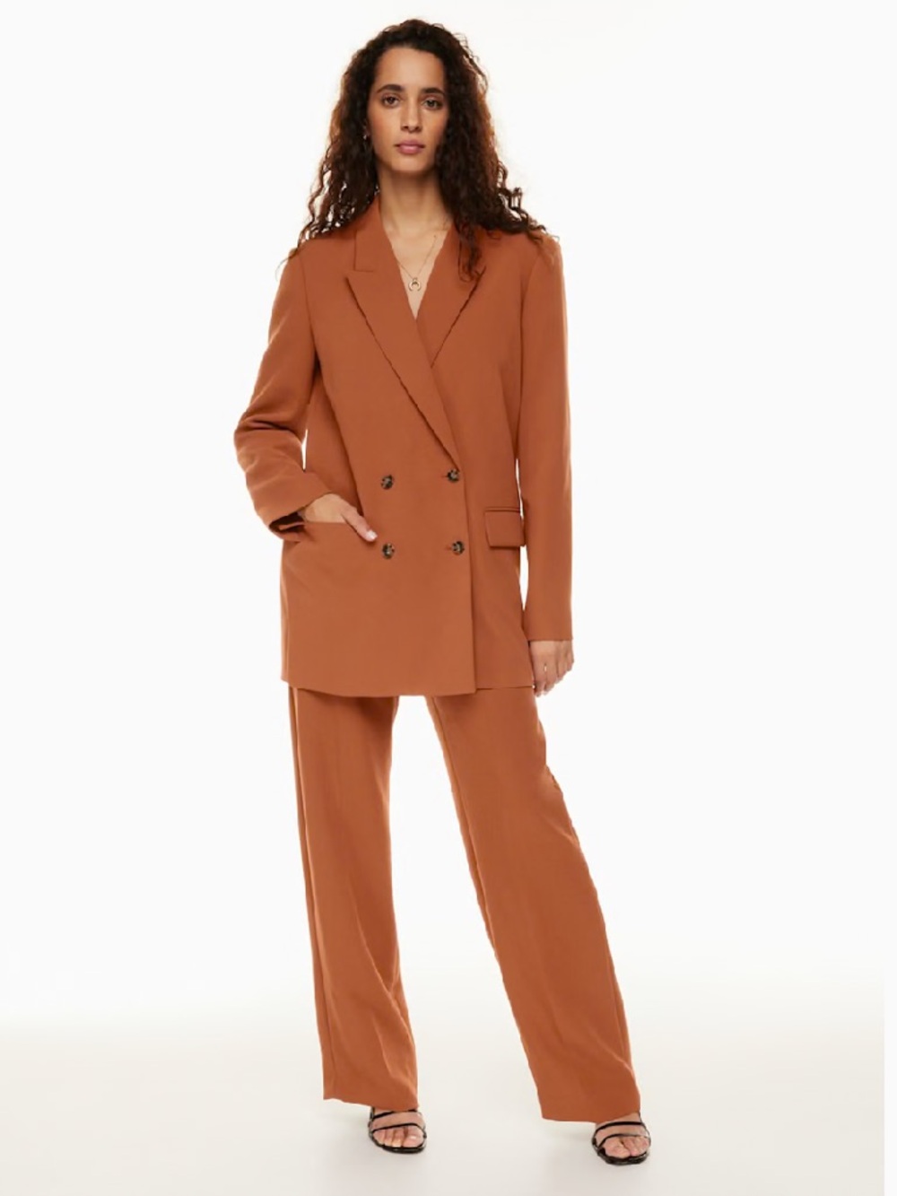 Aritzia Double-Breasted Pantsuit in Warm Rust